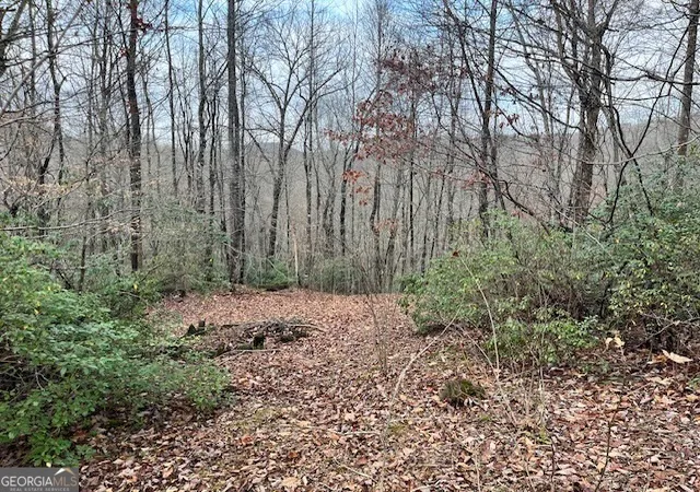 2nd image of 0 Gove, Sautee Nacoochee, GA 30571 | MLS# 10695831