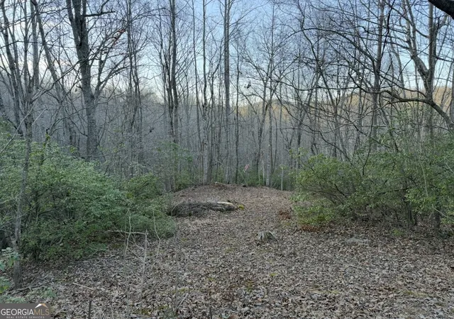 3rd image of 0 Gove, Sautee Nacoochee, GA 30571 | MLS# 10695831