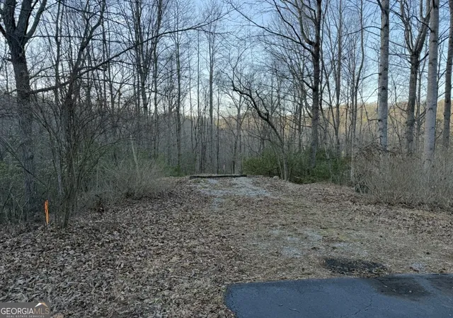 4th image of 0 Gove, Sautee Nacoochee, GA 30571 | MLS# 10695831