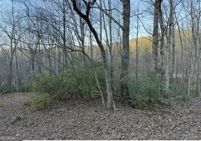 5th image of 0 Gove, Sautee Nacoochee, GA 30571 | MLS# 10695831