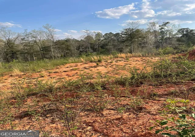 Photo 1 of Land for sale at 2557 Washington Hwy, Elberton, GA 30635 | MLS# 10724048 | Listing updated on 2026-04-16
