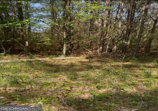 Photo 3 of Land for sale at 2557 Washington Hwy, Elberton, GA 30635 | MLS# 10724048 | Listing updated on 2026-04-16