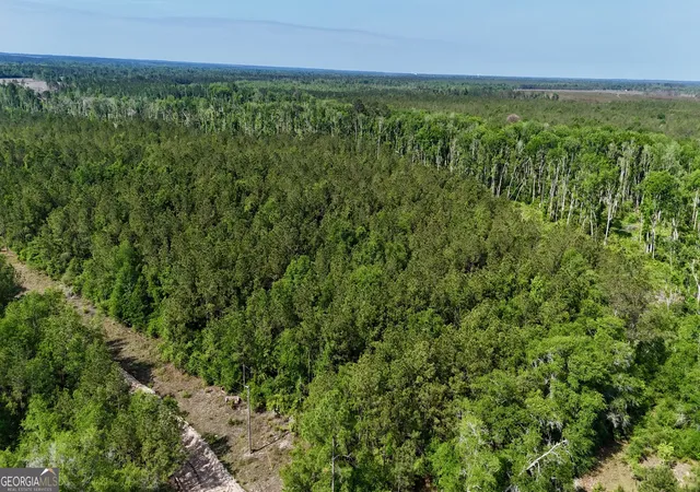Photo 2 of Land for sale at Tract 2 Tillman Cemetery Rd, Lumber City, GA 31549 | MLS# 10825625 | Listing updated on 2026-09-01