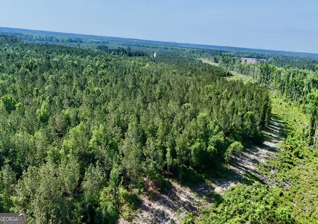 Photo 3 of Land for sale at Tract 2 Tillman Cemetery Rd, Lumber City, GA 31549 | MLS# 10825625 | Listing updated on 2026-09-01