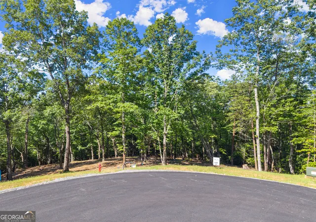 1st image of 228 Chimney Oaks Trail, Cleveland, GA 30528 | MLS# 10798936