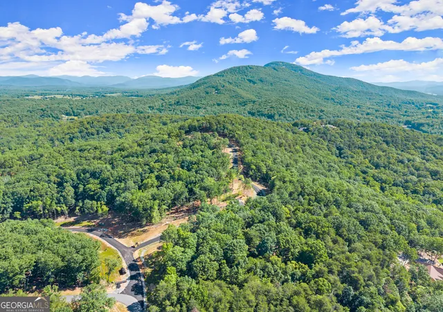 2nd image of 228 Chimney Oaks Trail, Cleveland, GA 30528 | MLS# 10798936