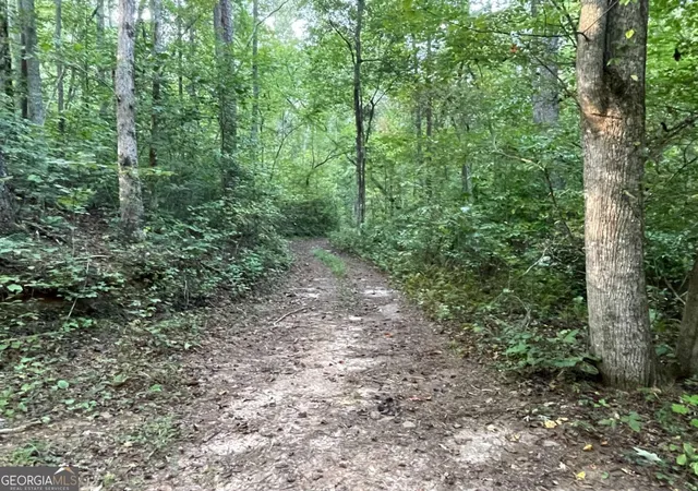Photo 1 of Land for sale at 201 Black Bear Tr, Dawsonville, GA 30534 | MLS# 10605463 | Listing updated on 2026-09-09