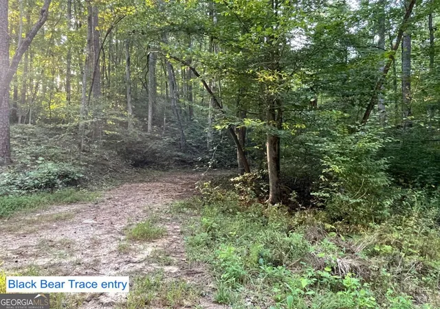 Photo 3 of Land for sale at 201 Black Bear Tr, Dawsonville, GA 30534 | MLS# 10605463 | Listing updated on 2026-09-09