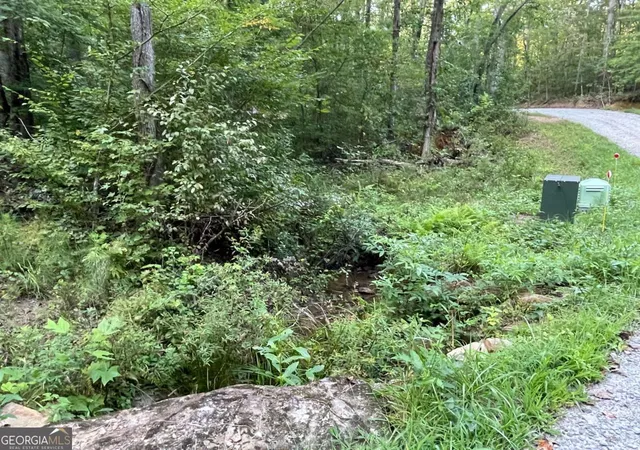 Photo 4 of Land for sale at 201 Black Bear Tr, Dawsonville, GA 30534 | MLS# 10605463 | Listing updated on 2026-09-09