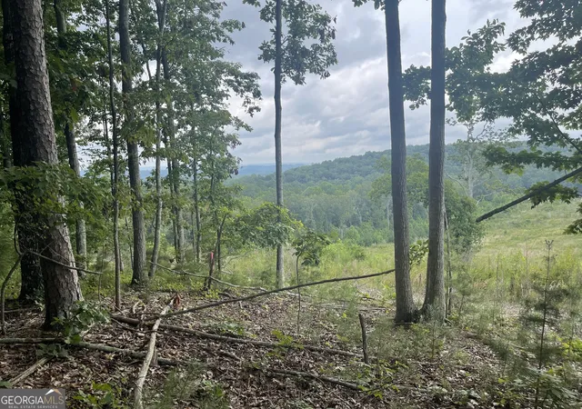 Land for sale at 0 White Oak Rd #LOTS 2,3,4, Summerville, GA 30747 | MLS# 10609695 | Listing updated on 2025-10-08