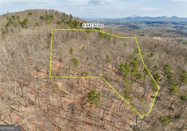 25th image of Lot 1 Mount Mincie Rd, Murrayville, GA 30564 | MLS# 10823117