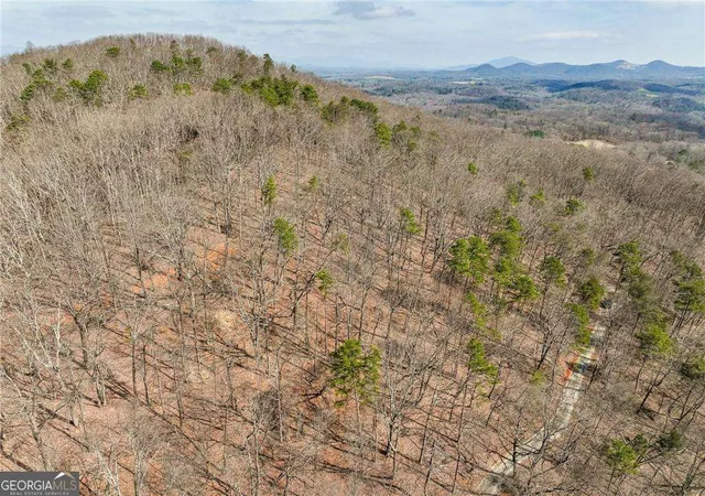 image of Lot 1 Mount Mincie Rd, Murrayville, GA 30564 | MLS# 10823117