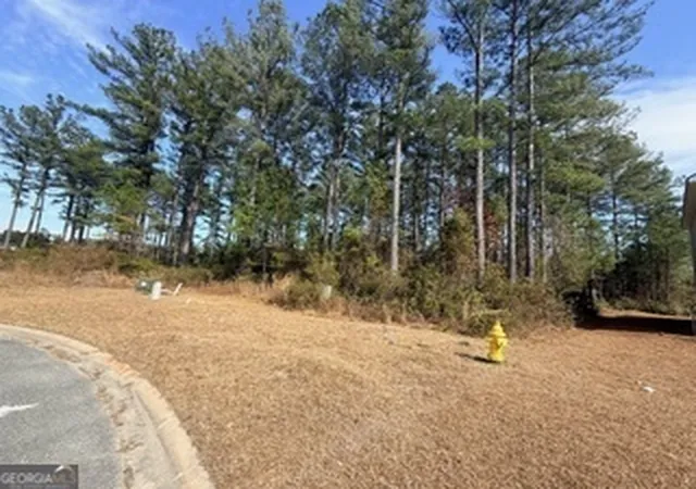 Homes for sale in Kingsland, GA | V/L 374 Beach Head Ct, Kingsland, GA 31548 | MLS# 10692319