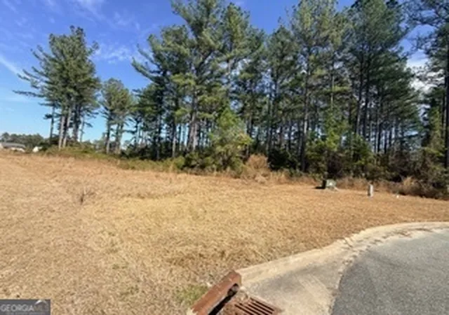 Homes for sale in Kingsland, GA | V/L 374 Beach Head Ct, Kingsland, GA 31548 | MLS# 10692319