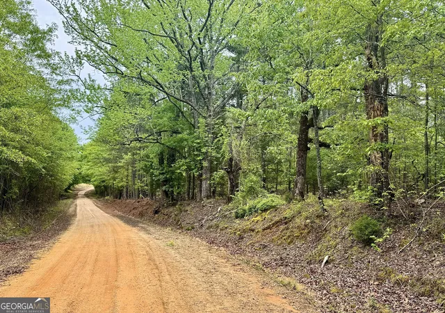 1st image of 1 Roy Lawrence Rd, Sparta, GA 31087 | MLS# 10779196
