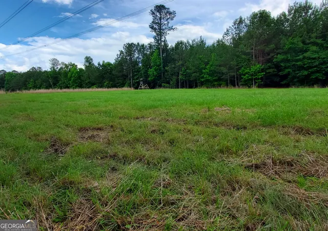 2nd image of 1 Roy Lawrence Rd, Sparta, GA 31087 | MLS# 10779196
