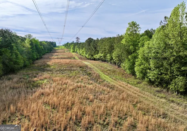 Homes for sale in Sparta, GA | 1 Roy Lawrence Rd, Sparta, GA 31087 | MLS# 10779196