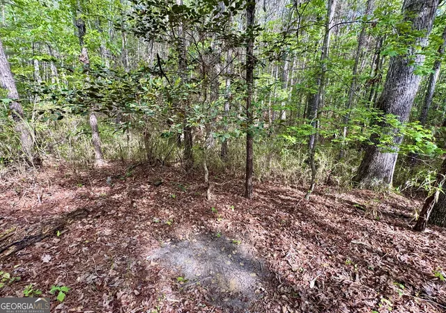 4th image of 1 Roy Lawrence Rd, Sparta, GA 31087 | MLS# 10779196