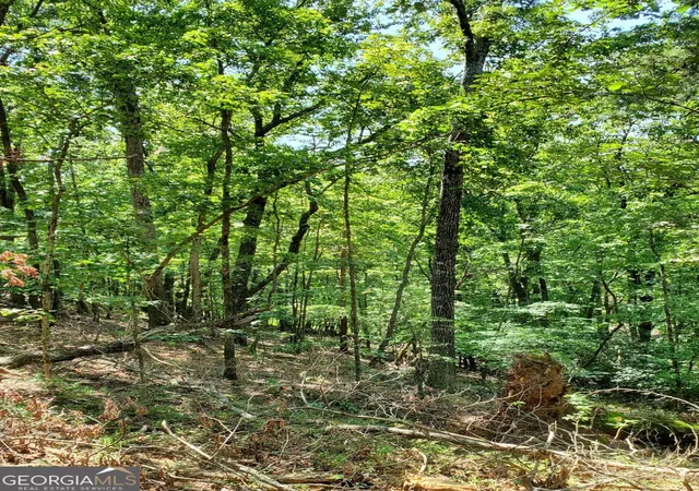 Photo 1 of Sale Pending at 0 Asbury Mill Rd, Cleveland, GA 30528 | MLS# 10599324 | Listing updated on 2025-11-22