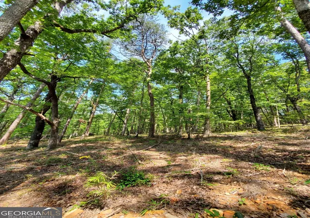 Photo 2 of Sale Pending at 0 Asbury Mill Rd, Cleveland, GA 30528 | MLS# 10599324 | Listing updated on 2025-11-22