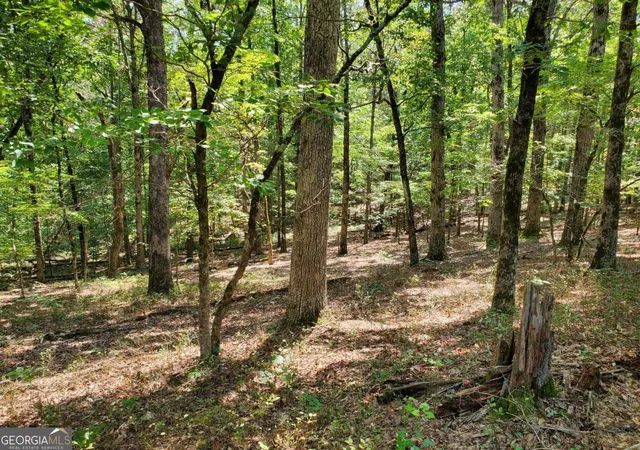 Photo 3 of Sale Pending at 0 Asbury Mill Rd, Cleveland, GA 30528 | MLS# 10599324 | Listing updated on 2025-11-22