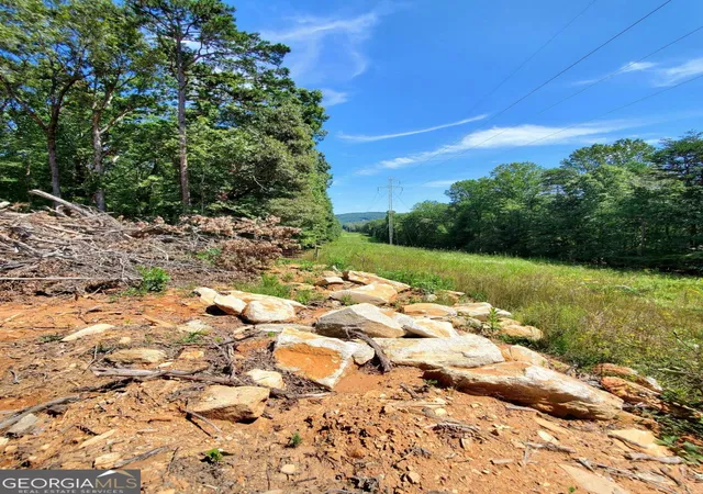 Photo 3 of Sale Pending at 0 Asbury Mill Rd, Cleveland, GA 30528 | MLS# 10599324 | Listing updated on 2025-11-22