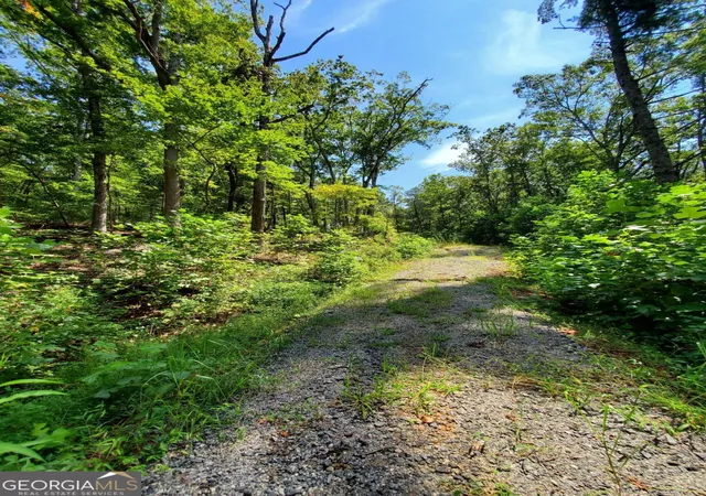 Photo 4 of Sale Pending at 0 Asbury Mill Rd, Cleveland, GA 30528 | MLS# 10599324 | Listing updated on 2025-11-22