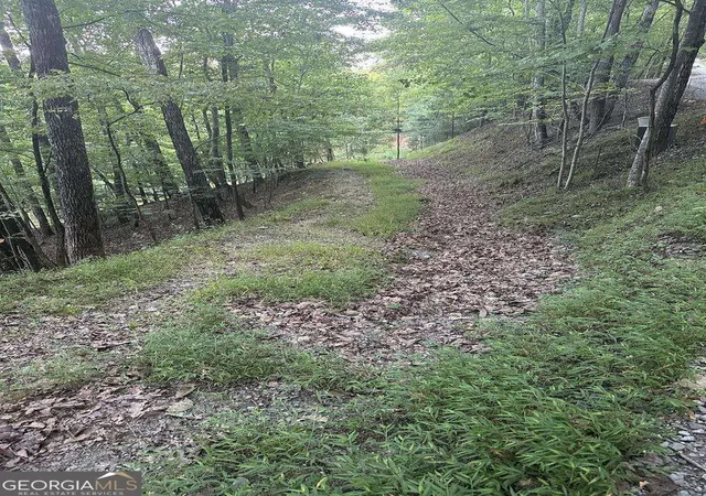 Land for sale at 335 Deer Run Ln, Morganton, GA 30560 | MLS# 10874472