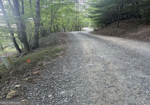 Photo 2 of Land for sale at 335 Deer Run Ln, Morganton, GA 30560 | MLS# 10874472 | Listing updated on 2026-10-30
