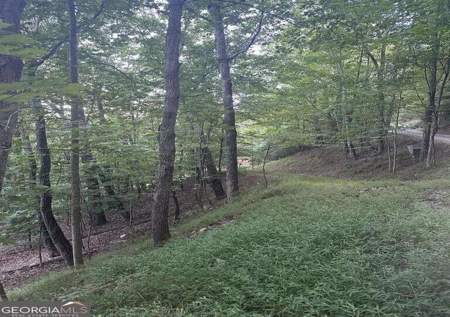 Photo 3 of Land for sale at 335 Deer Run Ln, Morganton, GA 30560 | MLS# 10874472 | Listing updated on 2026-10-30