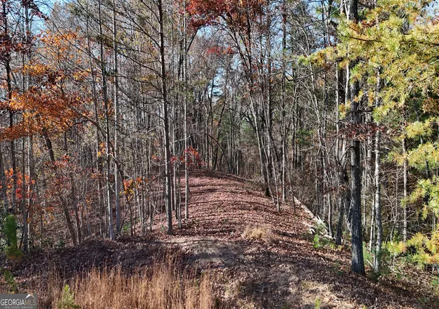 1st image of Lot 197 Springwinds Dr, Cleveland, GA 30528 | MLS# 10832184