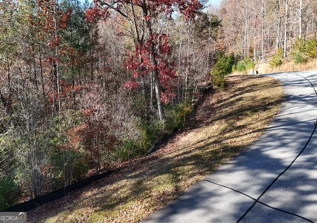 2nd image of Lot 197 Springwinds Dr, Cleveland, GA 30528 | MLS# 10832184