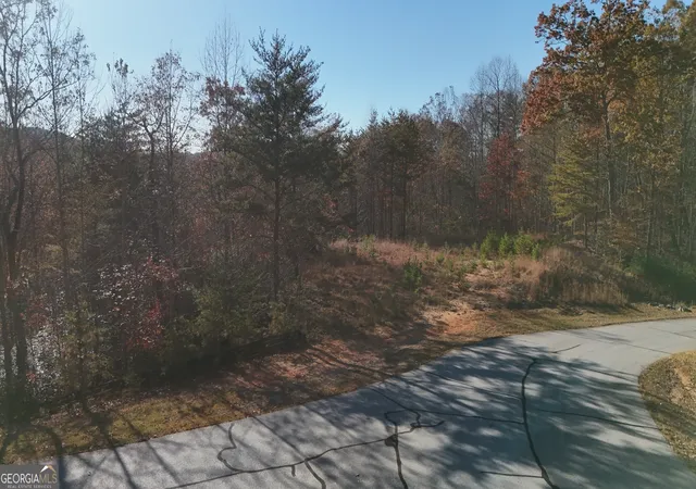 4th image of Lot 197 Springwinds Dr, Cleveland, GA 30528 | MLS# 10832184