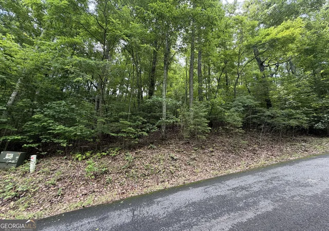 Photo 3 of Land for sale at Lot 6 & 7 Ml Ridge Rd, Hiawassee, GA 30546 | MLS# 10819558 | Listing updated on 2026-08-31