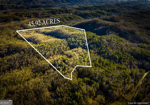 Homes for sale in Mineral Bluff, GA | 178 Arp Rd, Mineral Bluff, GA 30559 | MLS# 10667861