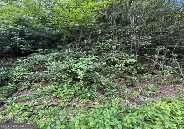 Photo 3 of Land for sale at 0 Crest Ln #5, Rabun Gap, GA 30568 | MLS# 10814043 | Listing updated on 2026-08-17
