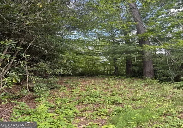 Photo 4 of Land for sale at 0 Crest Ln #5, Rabun Gap, GA 30568 | MLS# 10814043 | Listing updated on 2026-08-17
