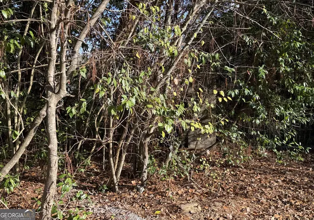 40th image of 1513 Pickard Ave, Tifton, GA 31794 | MLS# 10682704