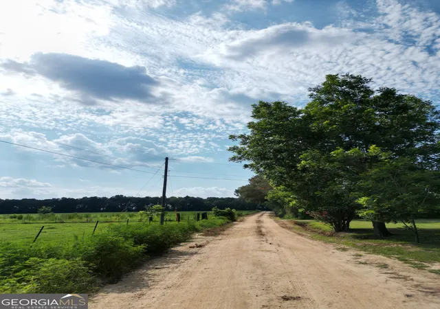 19th image of 2246 Mt Olive Ch Rd, Eastman, GA 31023 | MLS# 10798963