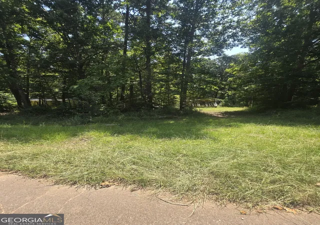 Photo 3 of Land for sale at 0 Ace Dr, Eatonton, GA 31024 | MLS# 10834645 | Listing updated on 2026-09-10