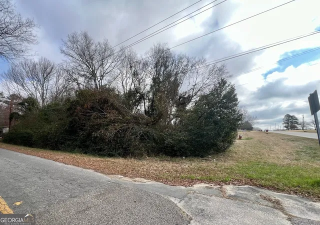 Photo 3 of Land for sale at 407 Riddleville Rd, Sandersville, GA 31082 | MLS# 10455270 | Listing updated on 2026-08-06