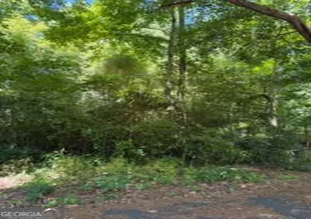1st image of 0 Windsor Wy, Newnan, GA 30263 | MLS# 10817086