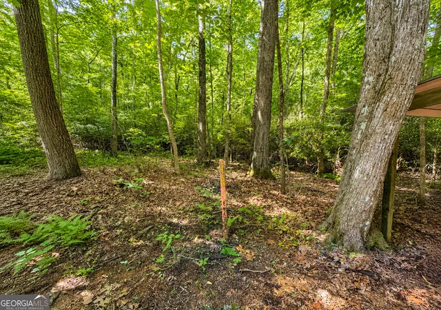52nd image of 480 Wahu Hu Dr, Hiawassee, GA 30546 | MLS# 10792752