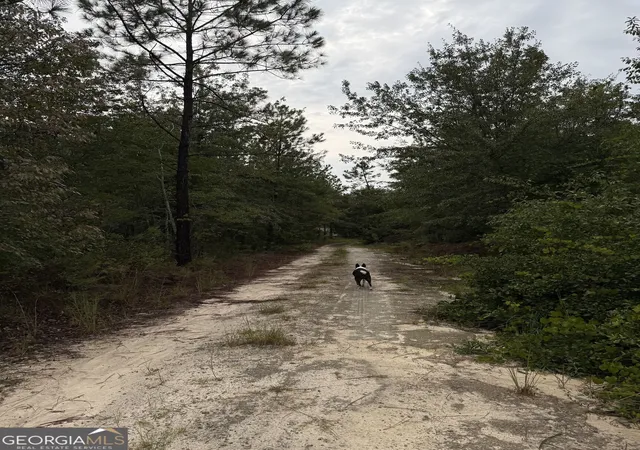 Photo 3 of Sale Pending at 416 Hwy 107, Hazlehurst, GA 31539 | MLS# 10826824 | Listing updated on 2026-10-03