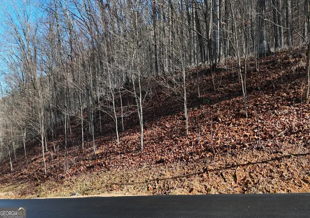 2nd image of Lot 45 Mountainside Dr, Cleveland, GA 30528 | MLS# 10824718