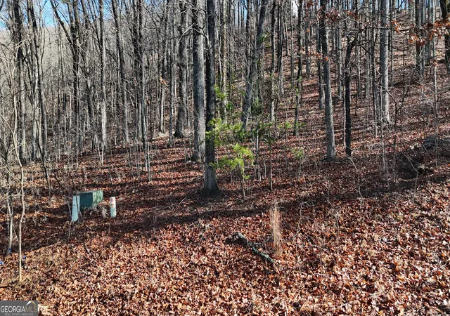 9th image of Lot 45 Mountainside Dr, Cleveland, GA 30528 | MLS# 10824718