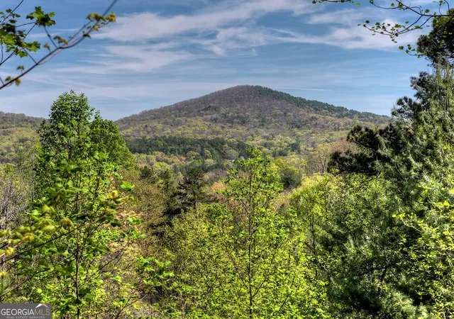 4th image of 305 Kimbolton Dr, Morganton, GA 30560 | MLS# 10737934