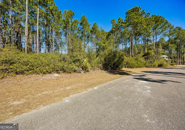 Photo 3 of Land for sale at 108 Wild Horse Ct, Saint Marys, GA 31558 | MLS# 10781750 | Listing updated on 2026-06-23