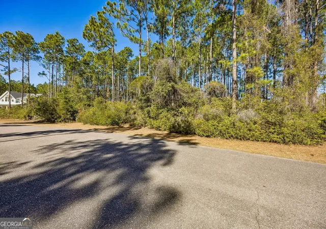Photo 3 of Land for sale at 108 Wild Horse Ct, Saint Marys, GA 31558 | MLS# 10781750 | Listing updated on 2026-06-23