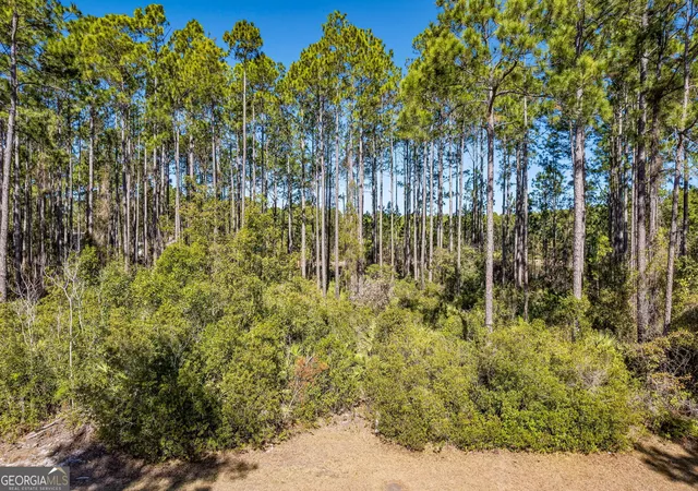 Photo 4 of Land for sale at 108 Wild Horse Ct, Saint Marys, GA 31558 | MLS# 10781750 | Listing updated on 2026-06-23